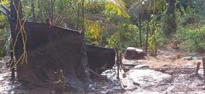 Gawat Lur …!!! Ada Badak di Kawasan Tahura Senami