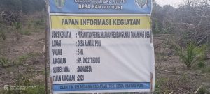 Ratusan Juta Dana Desa untuk Kebun Sawit Jadi Semak: Bibit Mati, Warga Geram